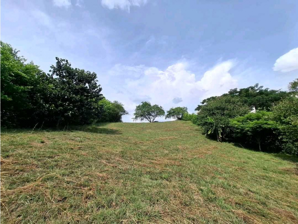 VENTA DE LOTE CAMPESTRE COLINAS DEL CAMPESTRE CARTAGO VALLE - 3
