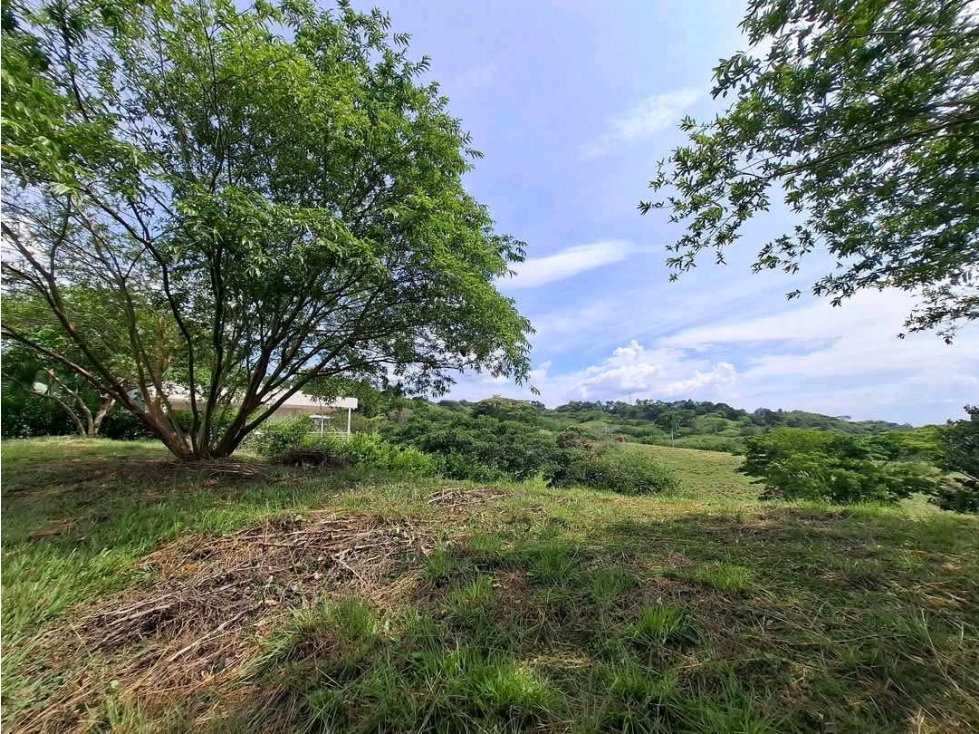 VENTA DE LOTE CAMPESTRE COLINAS DEL CAMPESTRE CARTAGO VALLE - 4