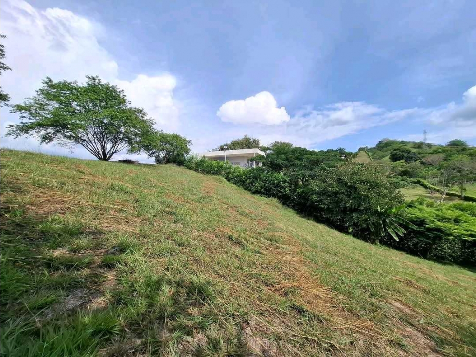 VENTA DE LOTE CAMPESTRE COLINAS DEL CAMPESTRE CARTAGO VALLE - 5