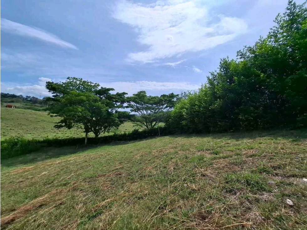 VENTA DE LOTE CAMPESTRE COLINAS DEL CAMPESTRE CARTAGO VALLE - 6
