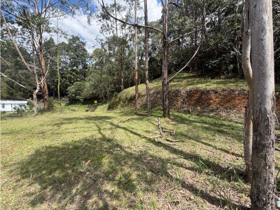 Venta de lote campestre con vista a la ciudad sector la calera unidad - 4