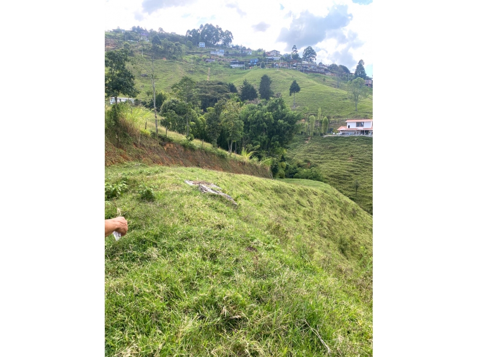 Venta de lote campestre en Belén cerca de los Bernal vereda el jardín — foto 6