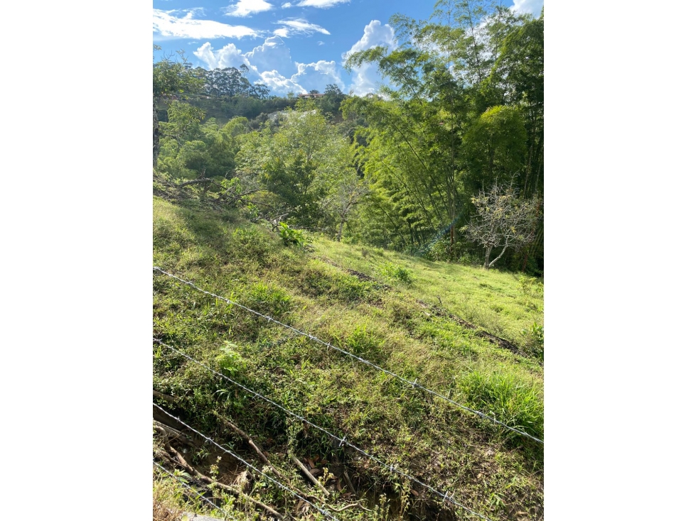 Venta de lote campestre en el Peñol sector chiquinquira - 2
