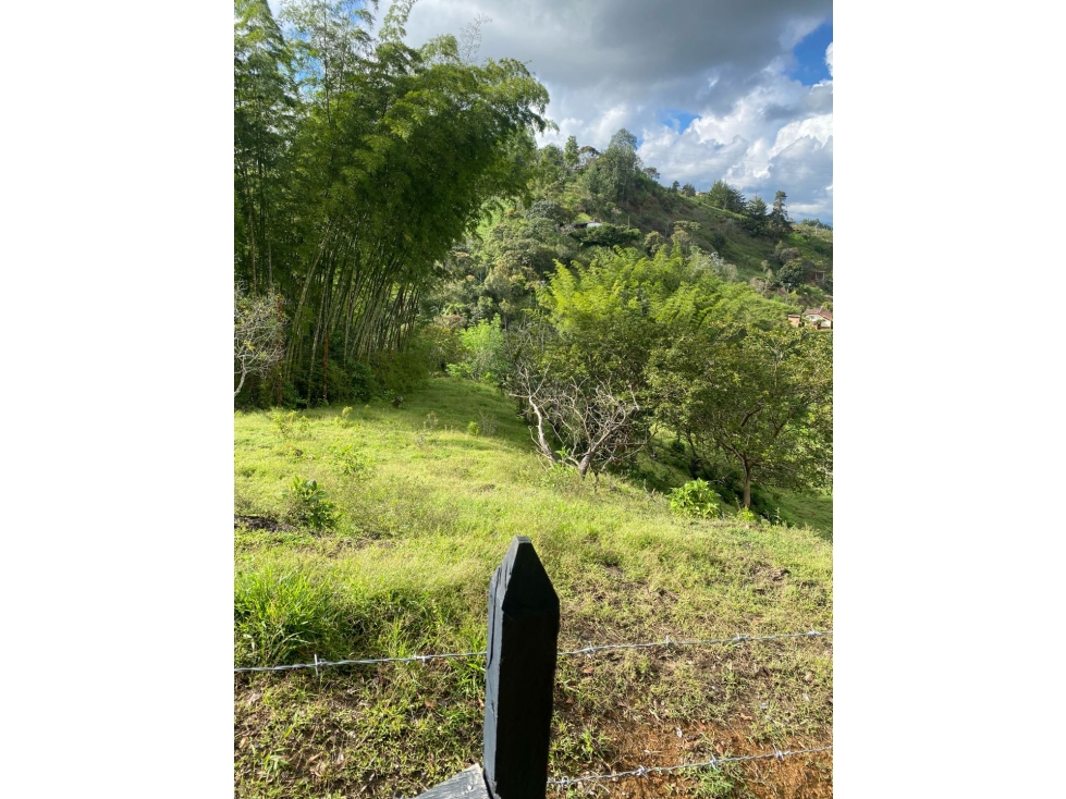 Venta de lote campestre en el Peñol sector chiquinquira - 3