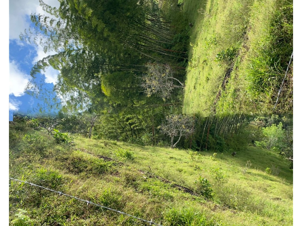 Venta de lote campestre en el Peñol sector chiquinquira - 5