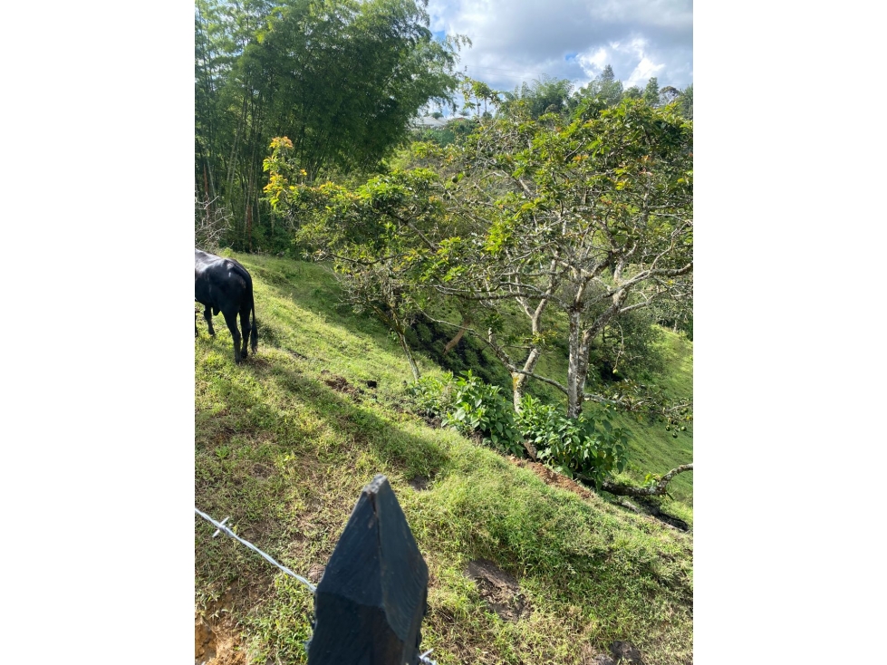 Venta de lote campestre en el Peñol sector chiquinquira - 6