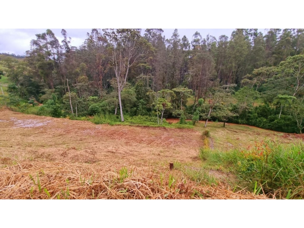 Venta de lote campestre en el retiro Antioquía unidad cerrada — foto 4