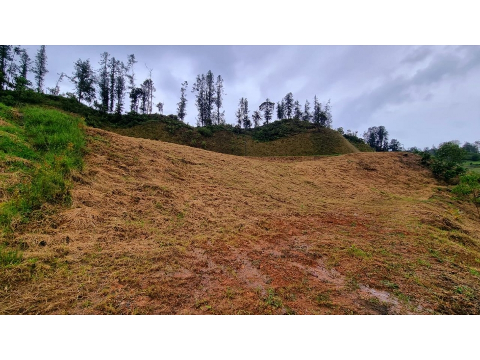 Venta de lote campestre en el retiro Antioquía unidad cerrada — foto 5