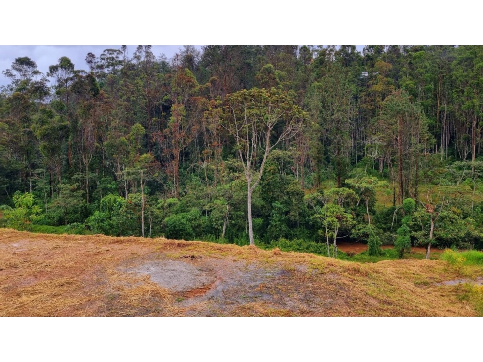 Venta de lote campestre en el retiro Antioquía unidad cerrada — foto 6