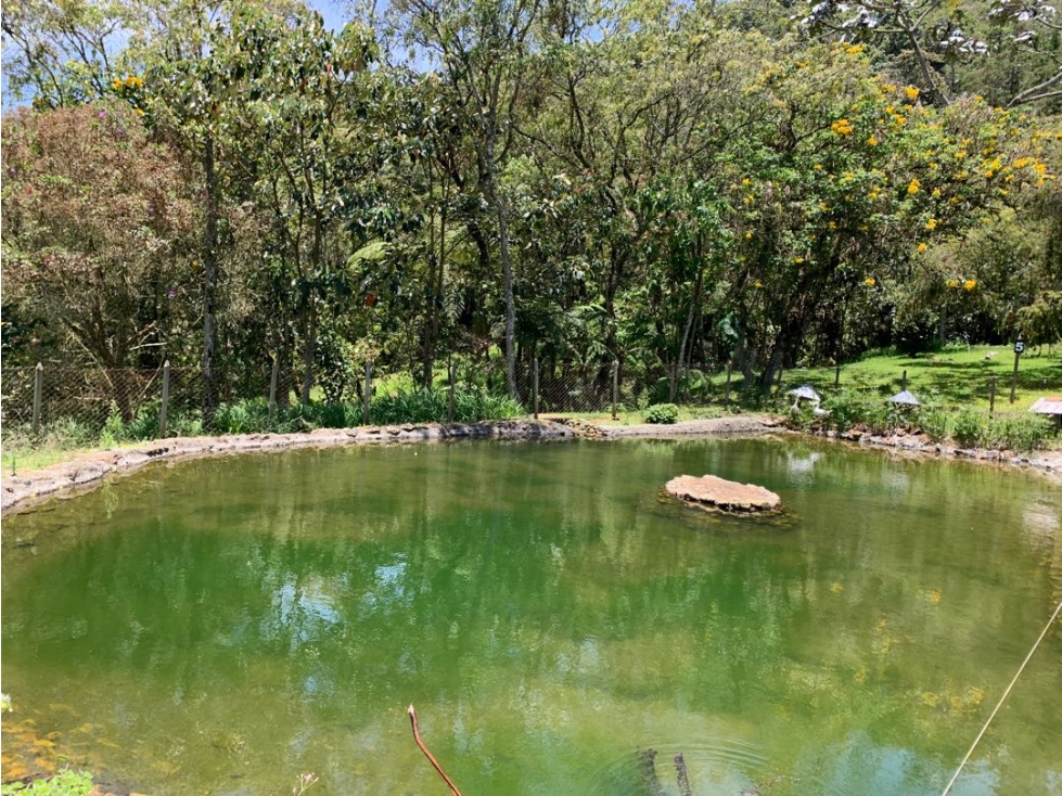 Venta de lote campestre en la vía la ceja la unión — foto 2