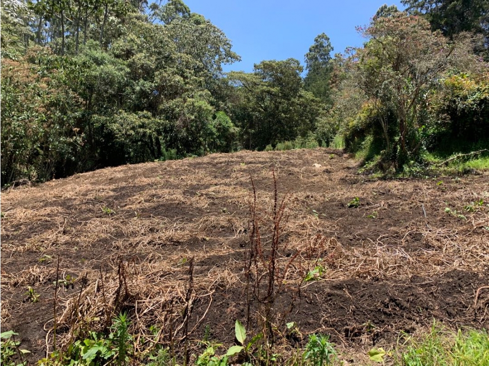 Venta de lote campestre en la vía la ceja la unión — foto 3