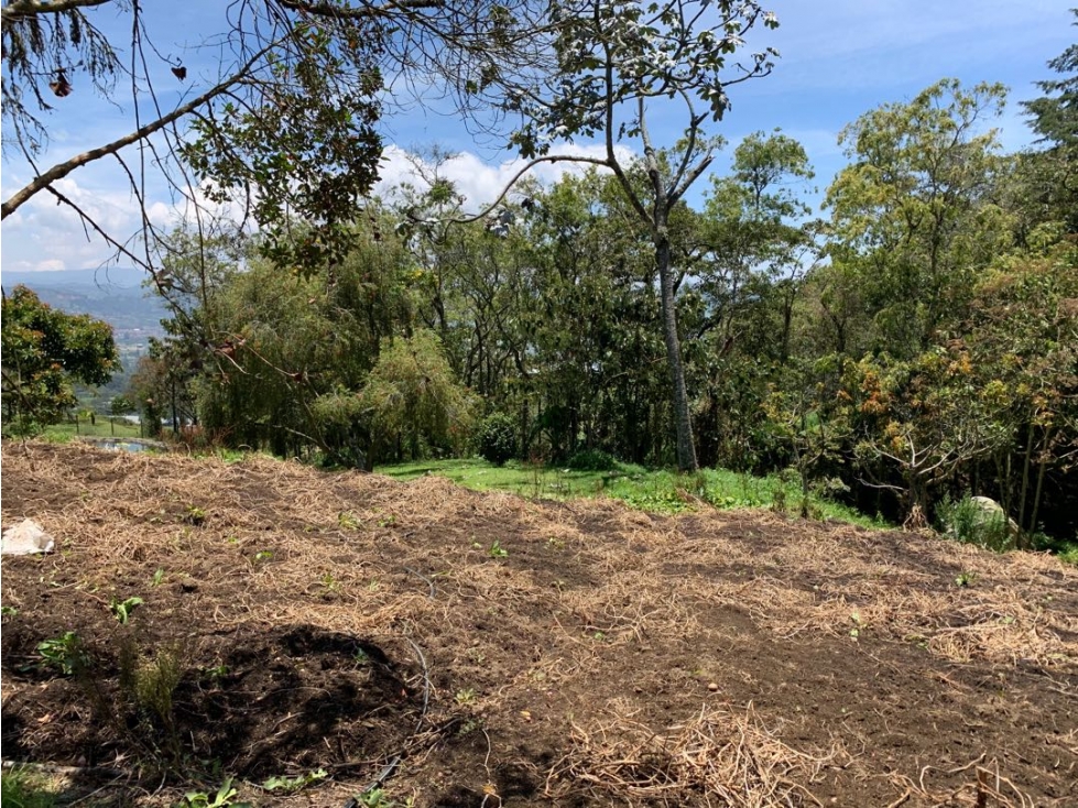 Venta de lote campestre en la vía la ceja la unión — foto 5