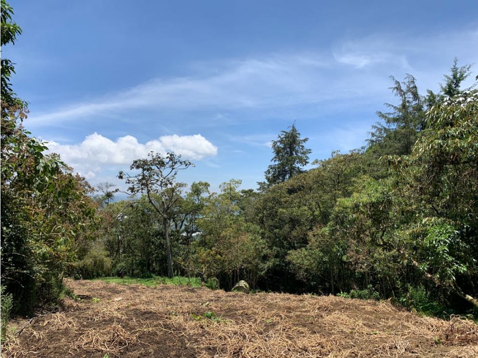 Venta de lote campestre en la vía la ceja la unión — foto 6