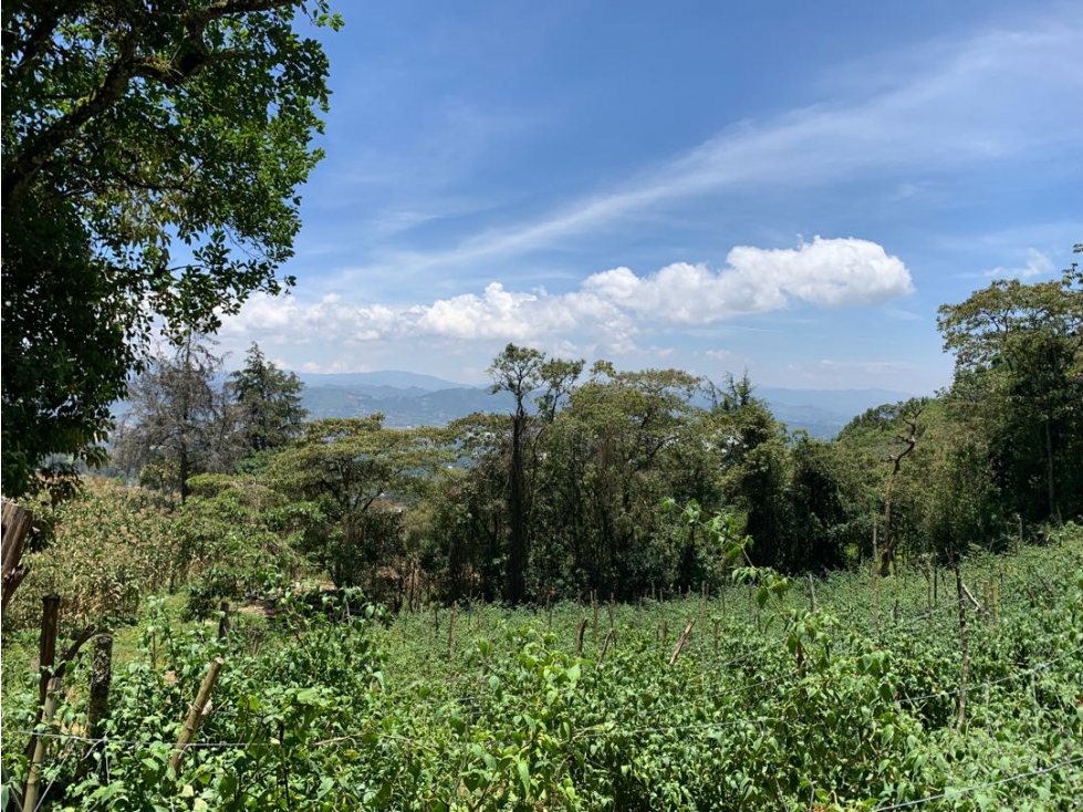 Venta de lote campestre en la vía la ceja la unión — foto 4
