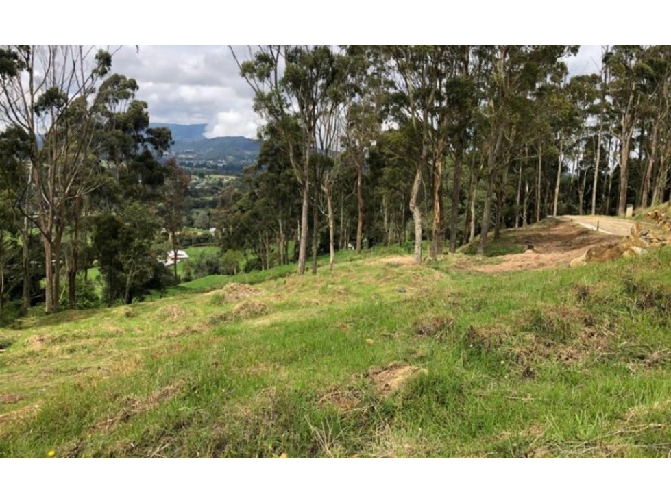 Venta de lote campestre en PARCELACION alto de las palmas Envígado