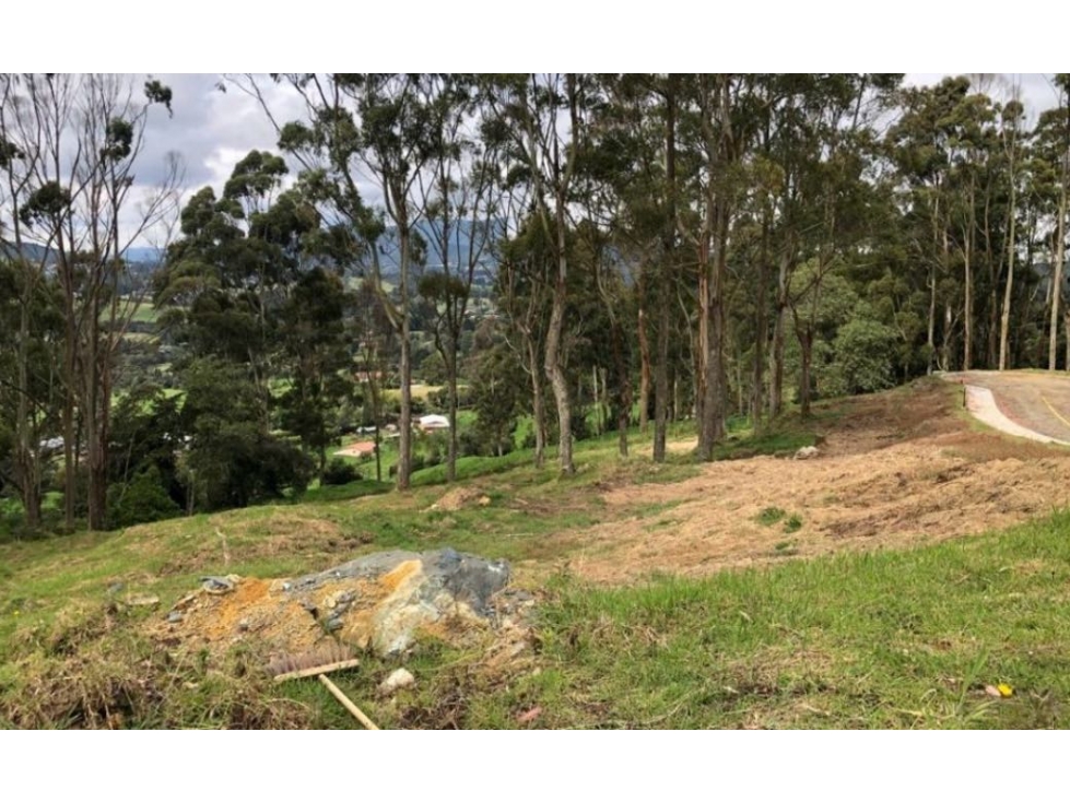 Venta de lote campestre en PARCELACION alto de las palmas Envígado — foto 2