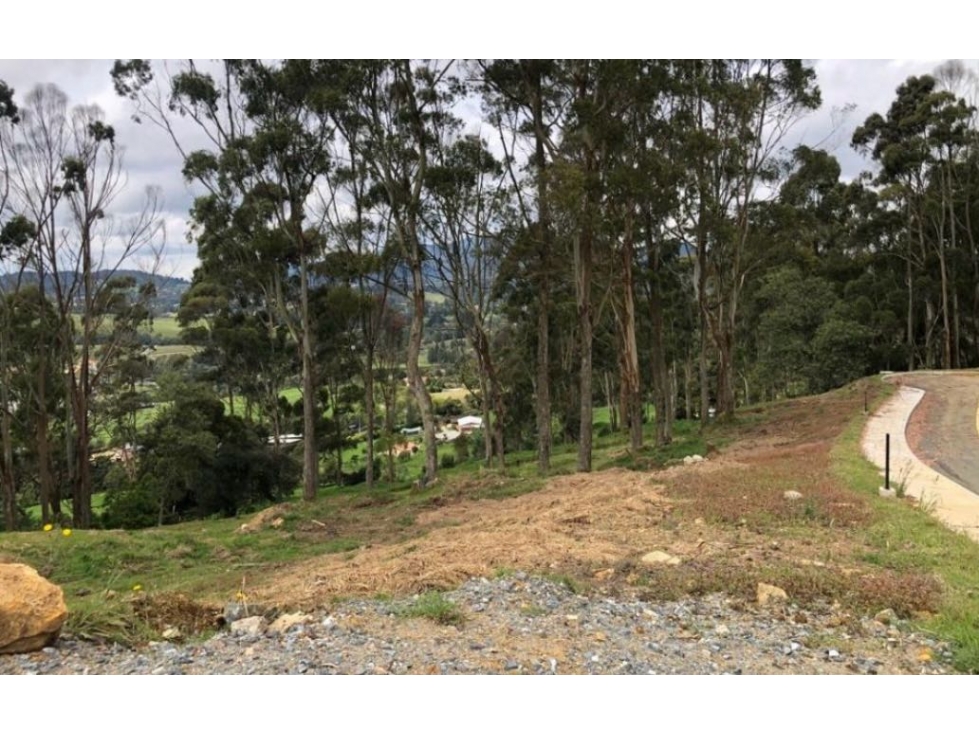 Venta de lote campestre en PARCELACION alto de las palmas Envígado — foto 3