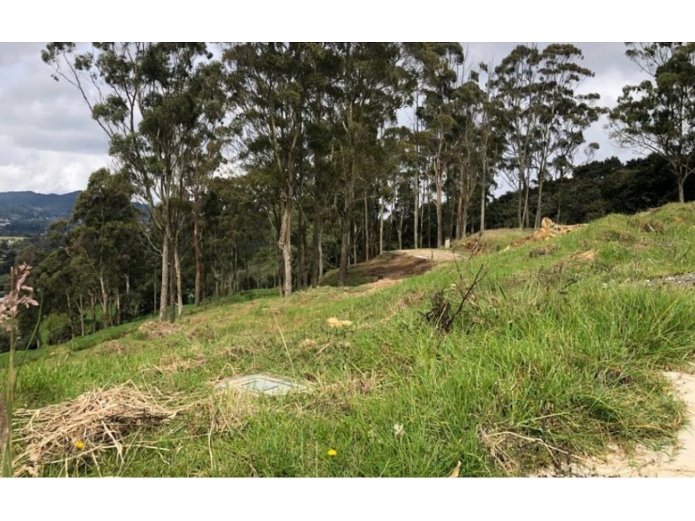 Venta de lote campestre en PARCELACION alto de las palmas Envígado — foto 4