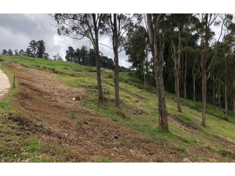 Venta de lote campestre en PARCELACION alto de las palmas Envígado — foto 5