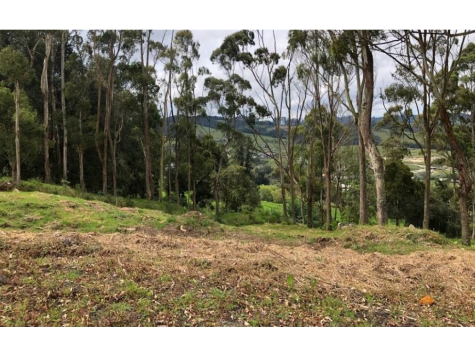 Venta de lote campestre en PARCELACION alto de las palmas Envígado — foto 6