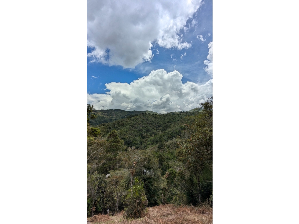 Venta de lote campestre en rionegro Antioquia independiente — foto 5
