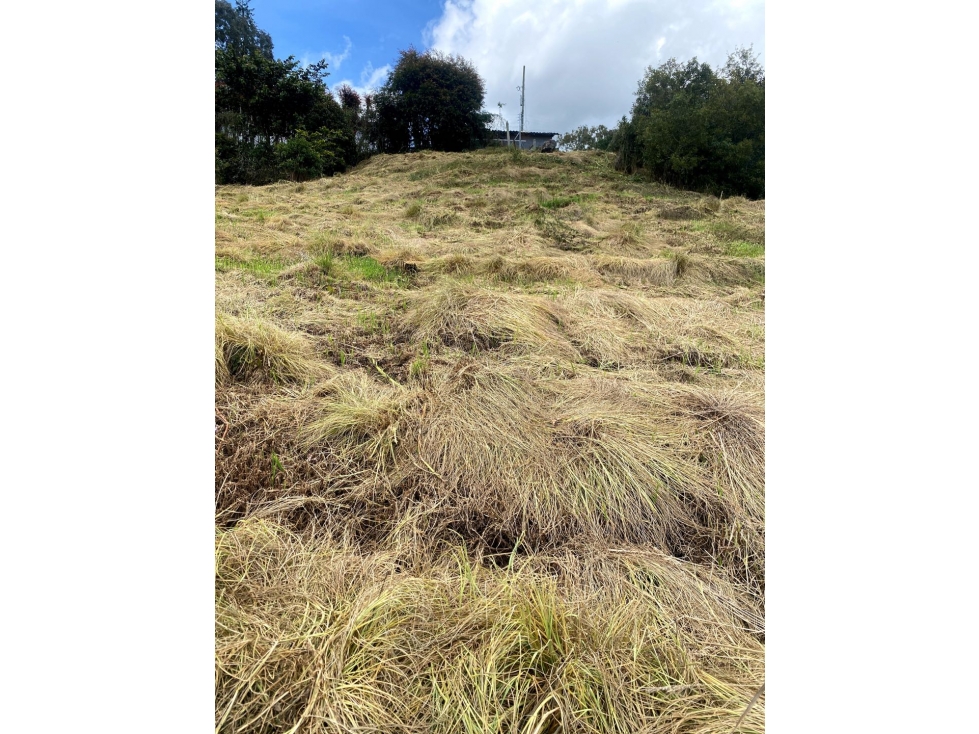 Venta de lote campestre en unidad cerrada alto de las palmas acuarela — foto 5
