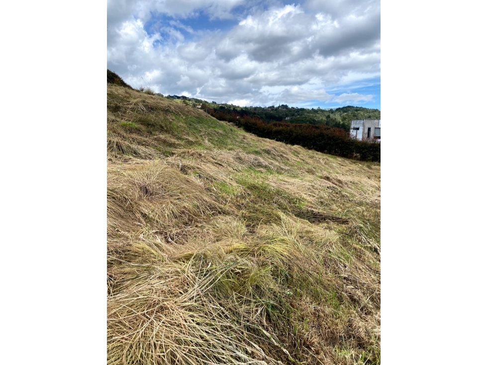 Venta de lote campestre en unidad cerrada alto de las palmas acuarela — foto 6