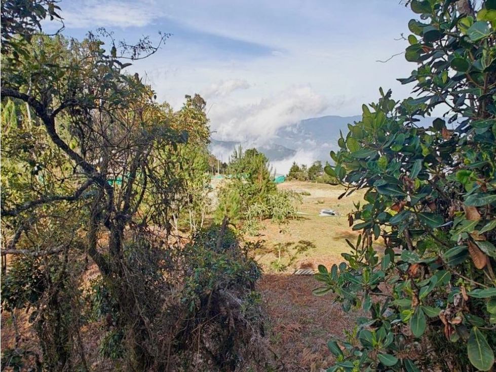 VENTA DE LOTE CAMPESTRE. ENVIGADO. ALTO DE LAS PALMAS. CON VISTA