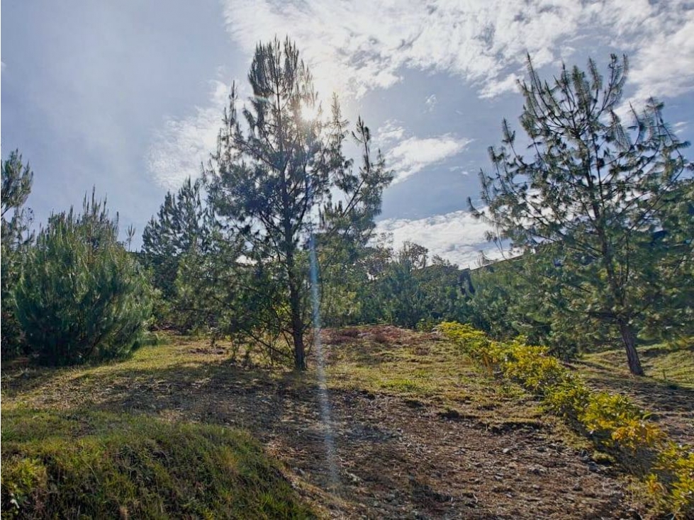 VENTA DE LOTE CAMPESTRE. ENVIGADO. ALTO DE LAS PALMAS. CON VISTA — foto 4