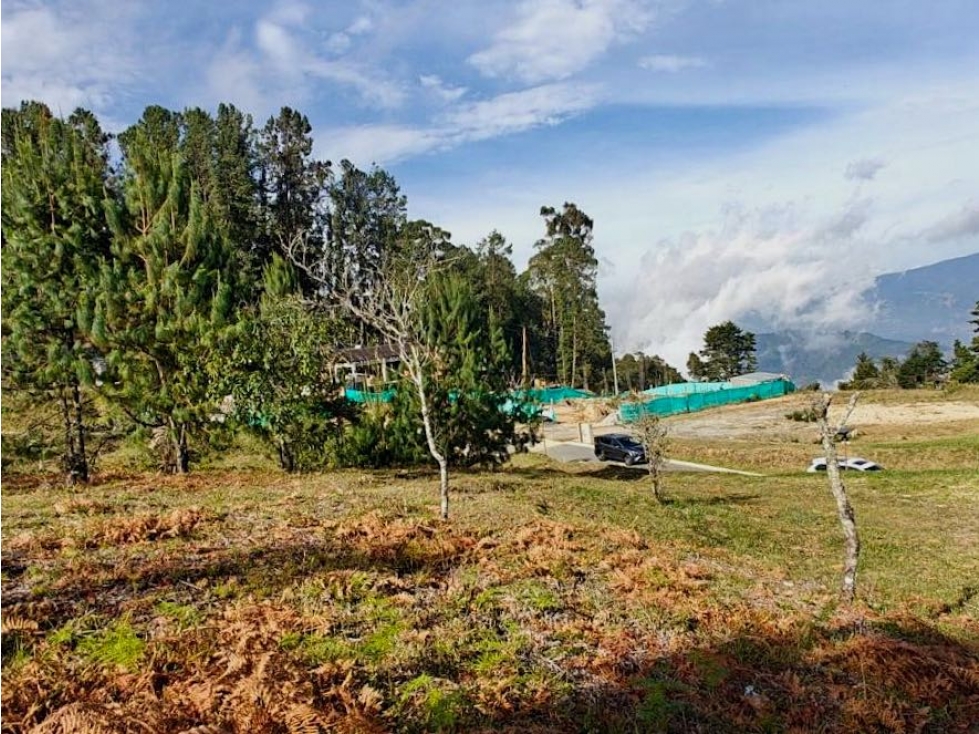 VENTA DE LOTE CAMPESTRE. ENVIGADO. ALTO DE LAS PALMAS. CON VISTA — foto 6
