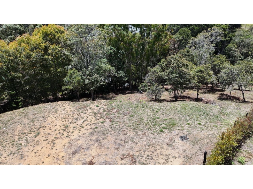 Venta de lote campestre independiente alto de las palmas sin peaje — foto 3