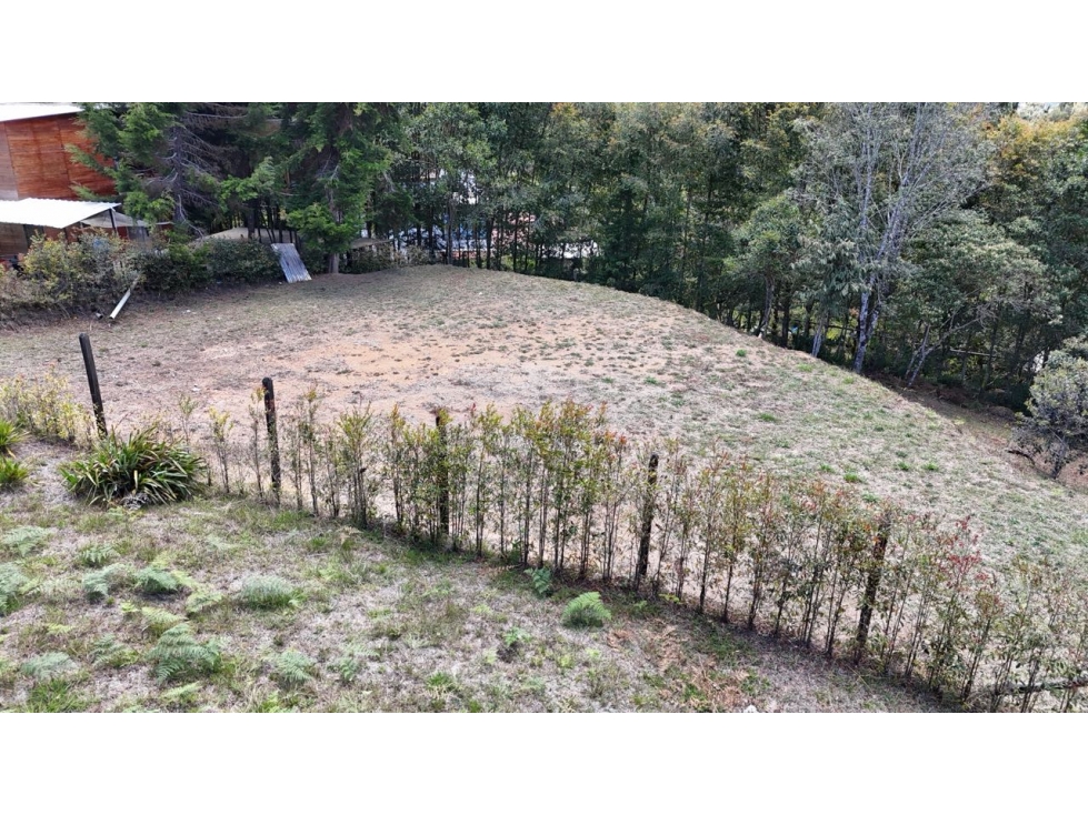 Venta de lote campestre independiente alto de las palmas sin peaje — foto 4