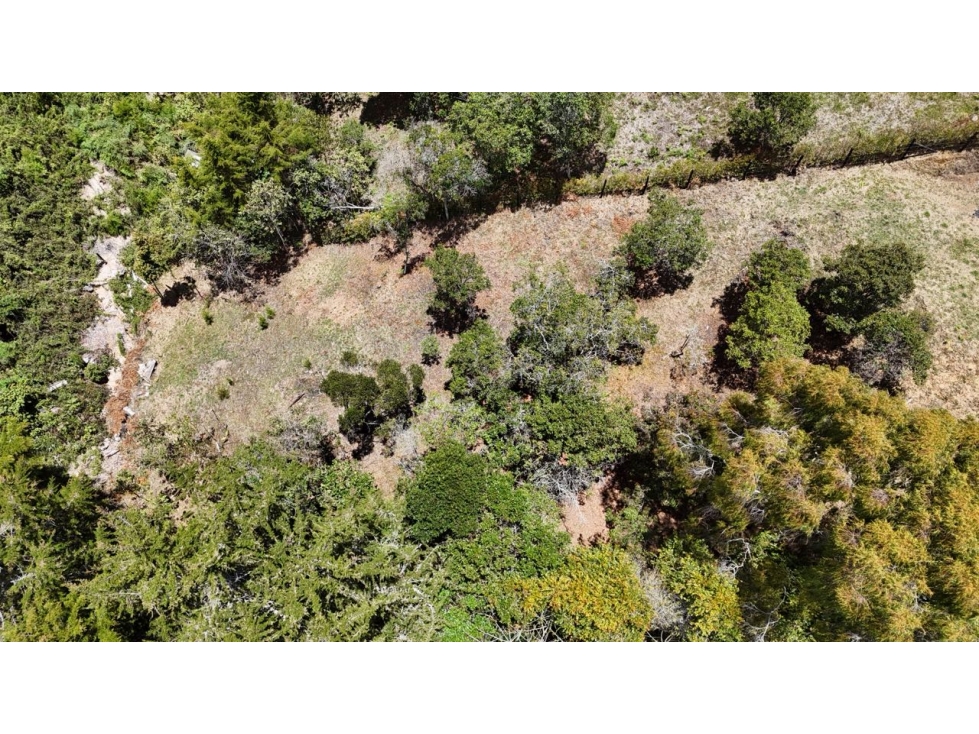 Venta de lote campestre independiente alto de las palmas sin peaje — foto 5