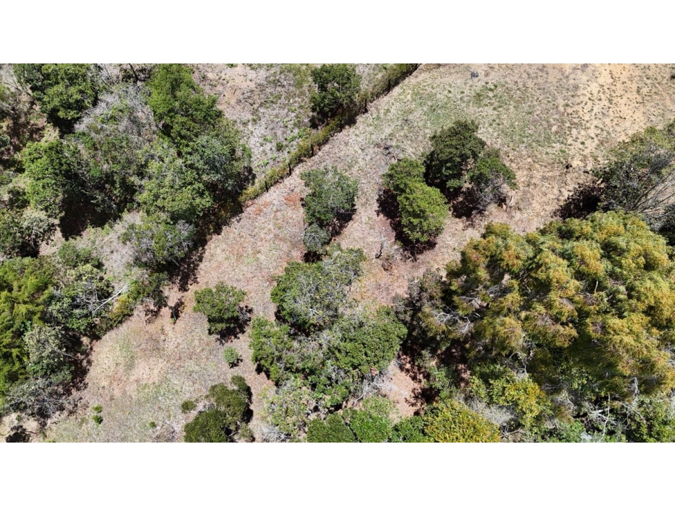 Venta de lote campestre independiente alto de las palmas sin peaje — foto 6