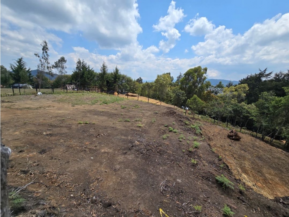 Venta de lote campestre independiente alto de las palmas variante — foto 5