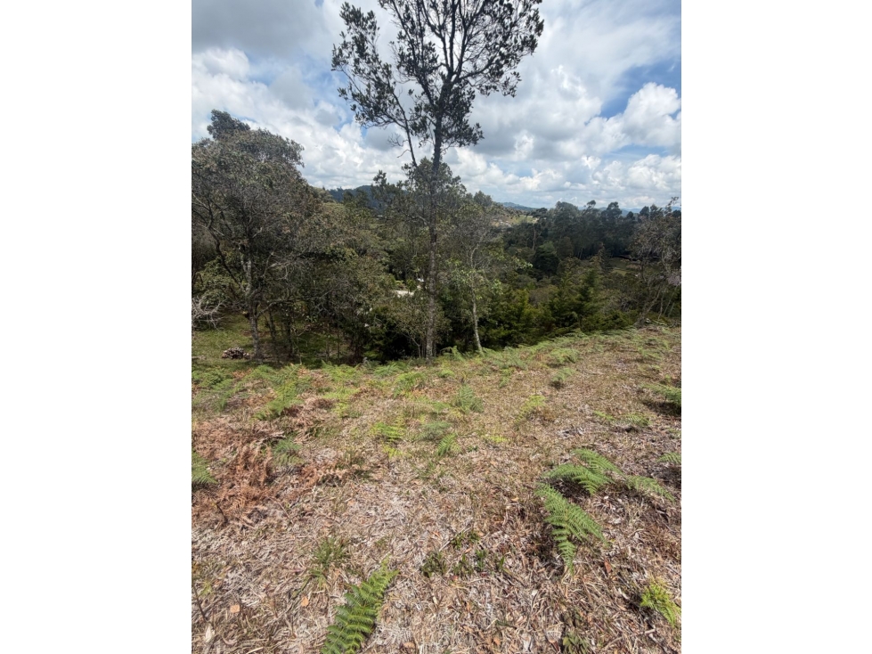 Venta de lote campestre independiente alto de las palmas