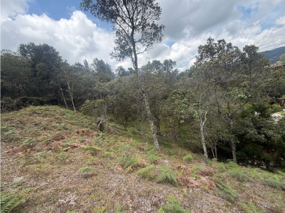 Venta de lote campestre independiente alto de las palmas — foto 2