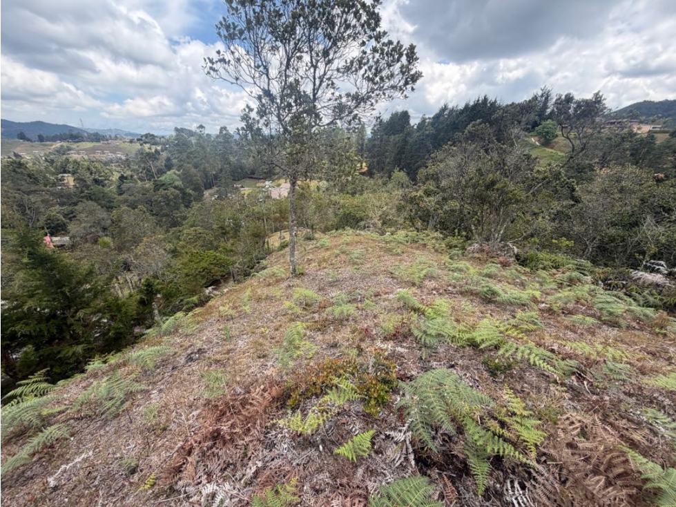 Venta de lote campestre independiente alto de las palmas — foto 3
