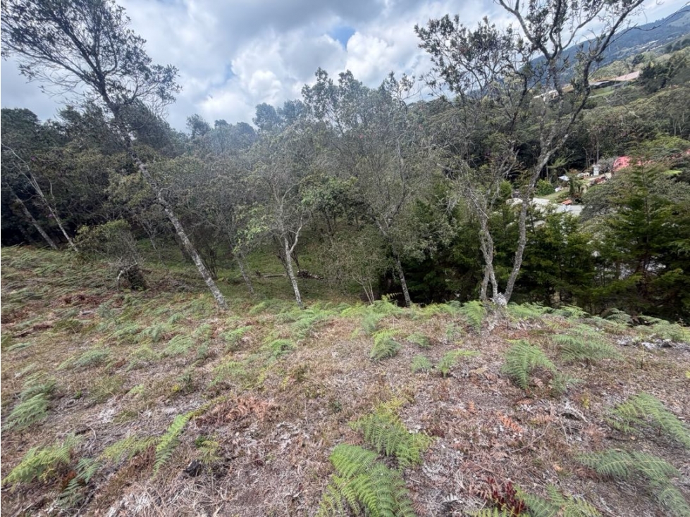 Venta de lote campestre independiente alto de las palmas — foto 4