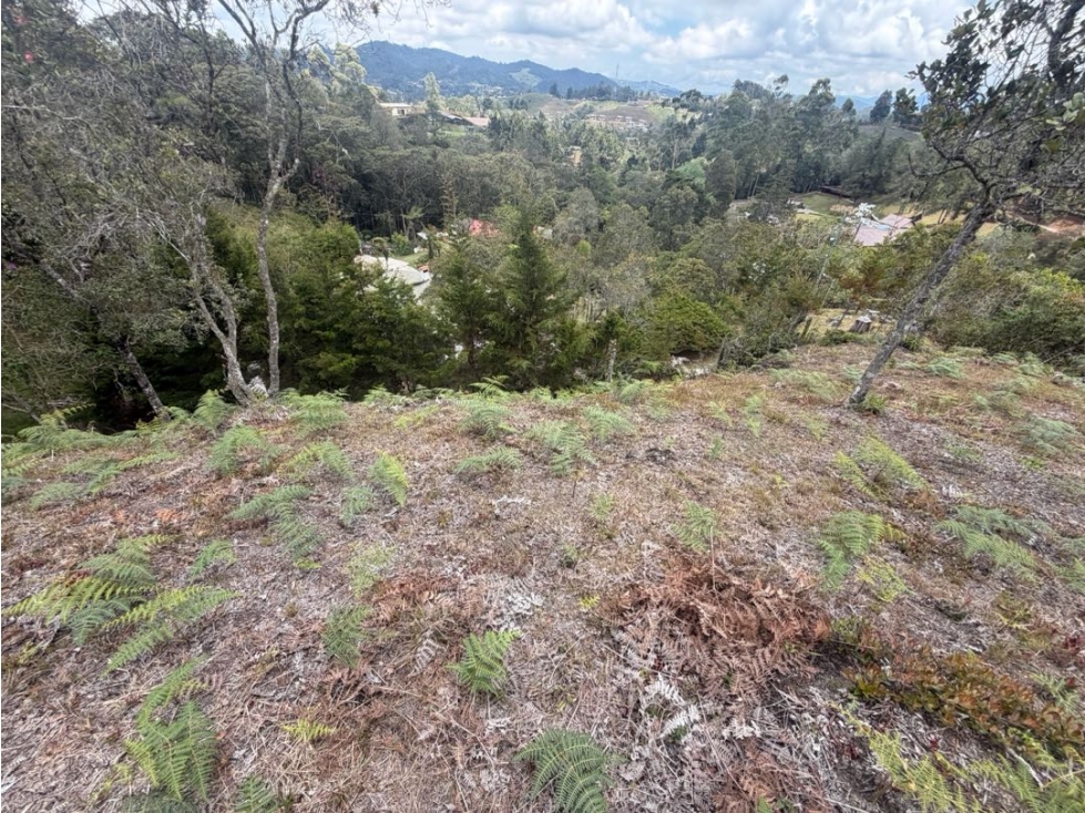 Venta de lote campestre independiente alto de las palmas — foto 5
