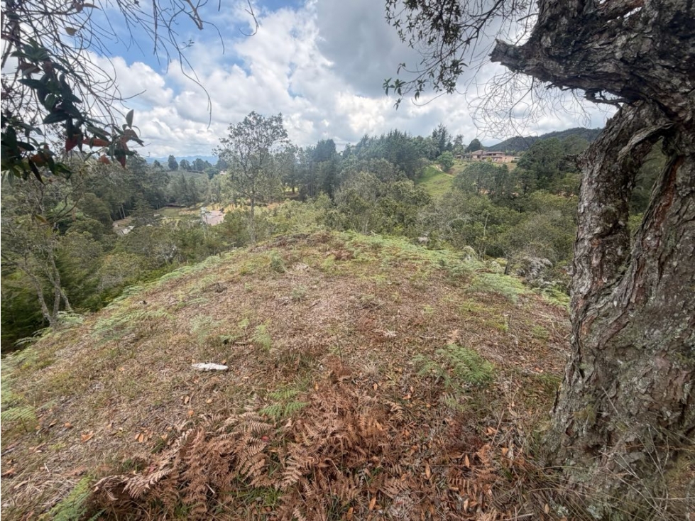 Venta de lote campestre independiente alto de las palmas — foto 6