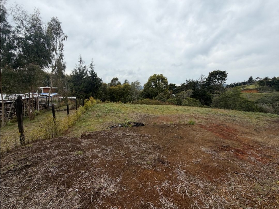 Venta de lote campestre independiente alto de las palmas sin peaje — foto 2