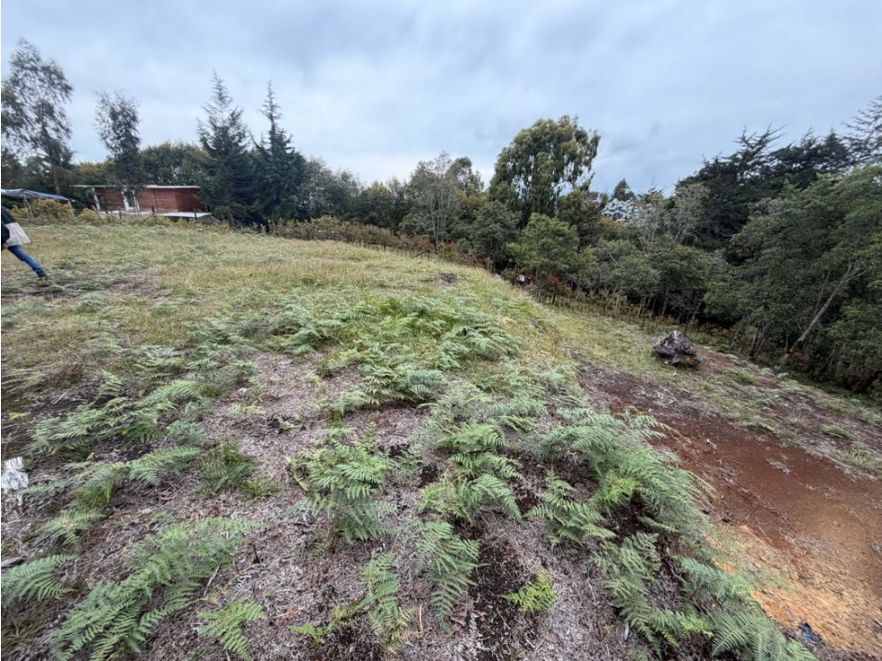 Venta de lote campestre independiente alto de las palmas sin peaje — foto 3