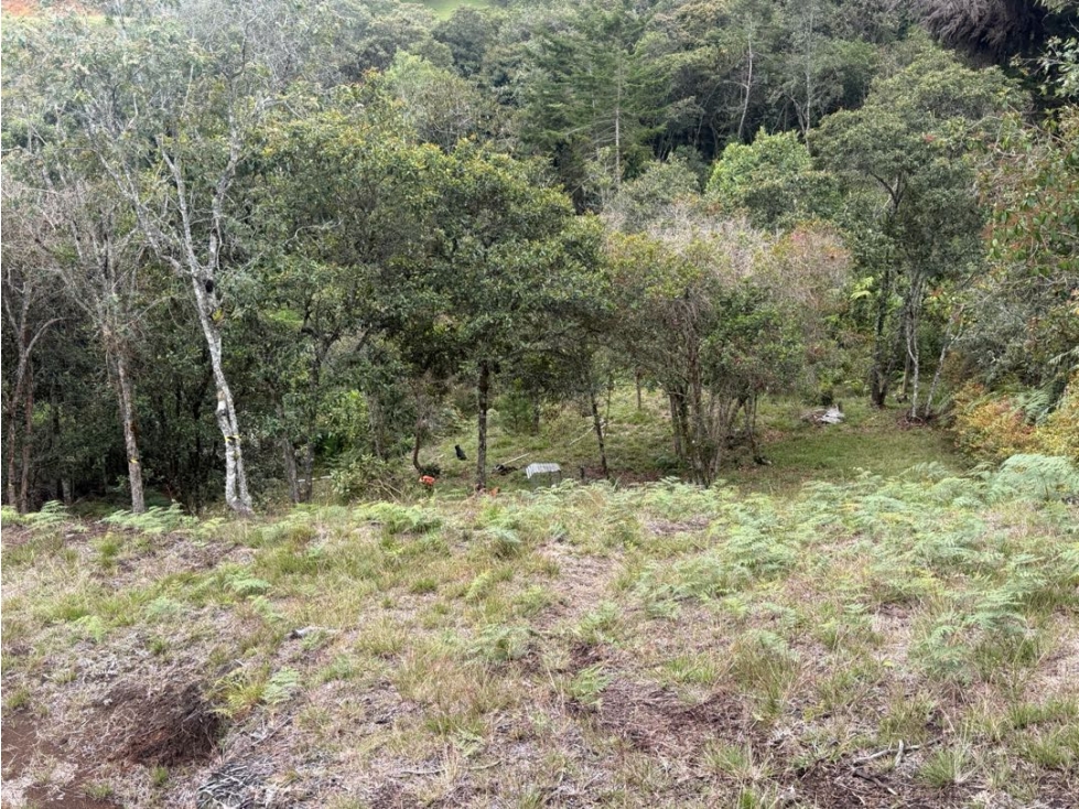 Venta de lote campestre independiente alto de las palmas sin peaje — foto 4