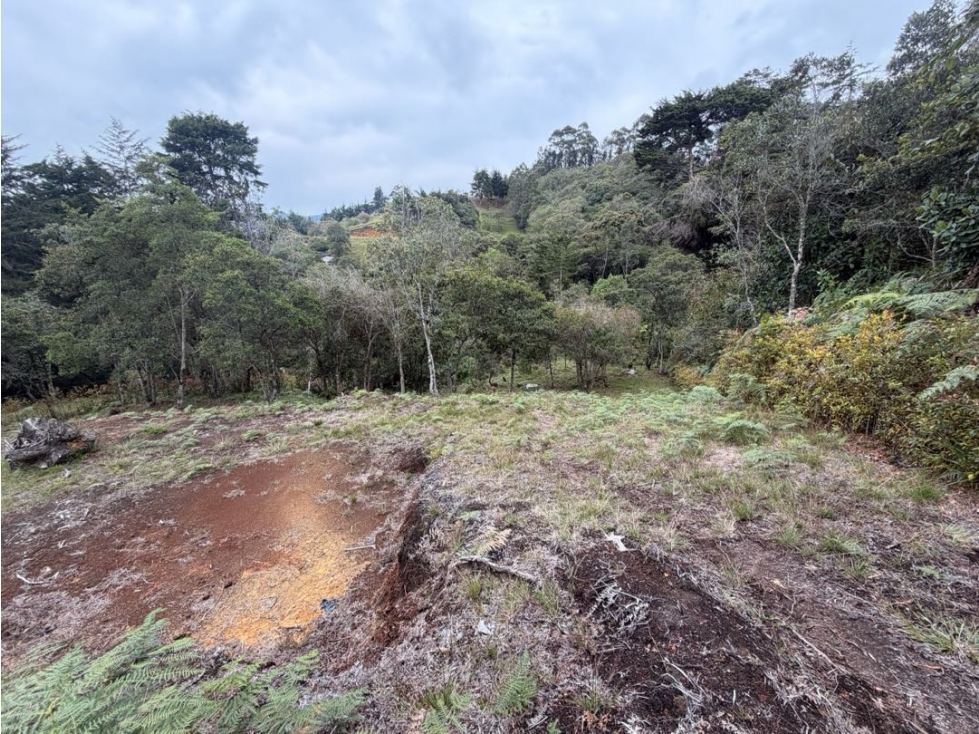 Venta de lote campestre independiente alto de las palmas sin peaje — foto 5
