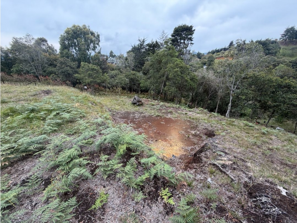 Venta de lote campestre independiente alto de las palmas sin peaje — foto 6