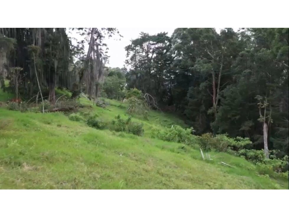 Venta de lote campestre independiente san Lucas. Envigado montesory - 1