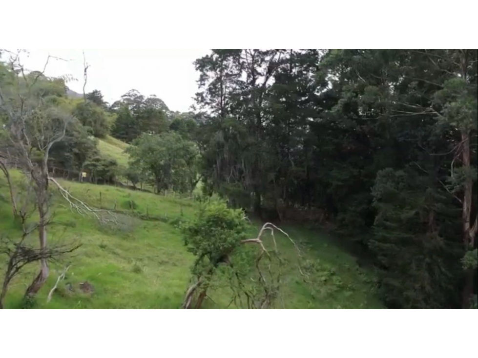 Venta de lote campestre independiente san Lucas. Envigado montesory - 2