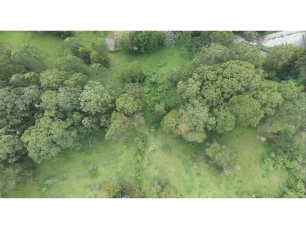 Venta de lote campestre independiente san Lucas. Envigado montesory - 3