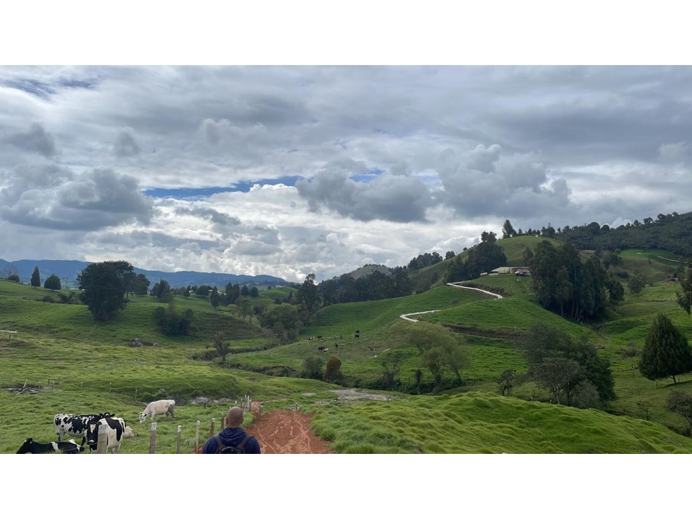 Venta de lote campestre san Pedro de los milagros Santa Bárbara indepe — foto 5